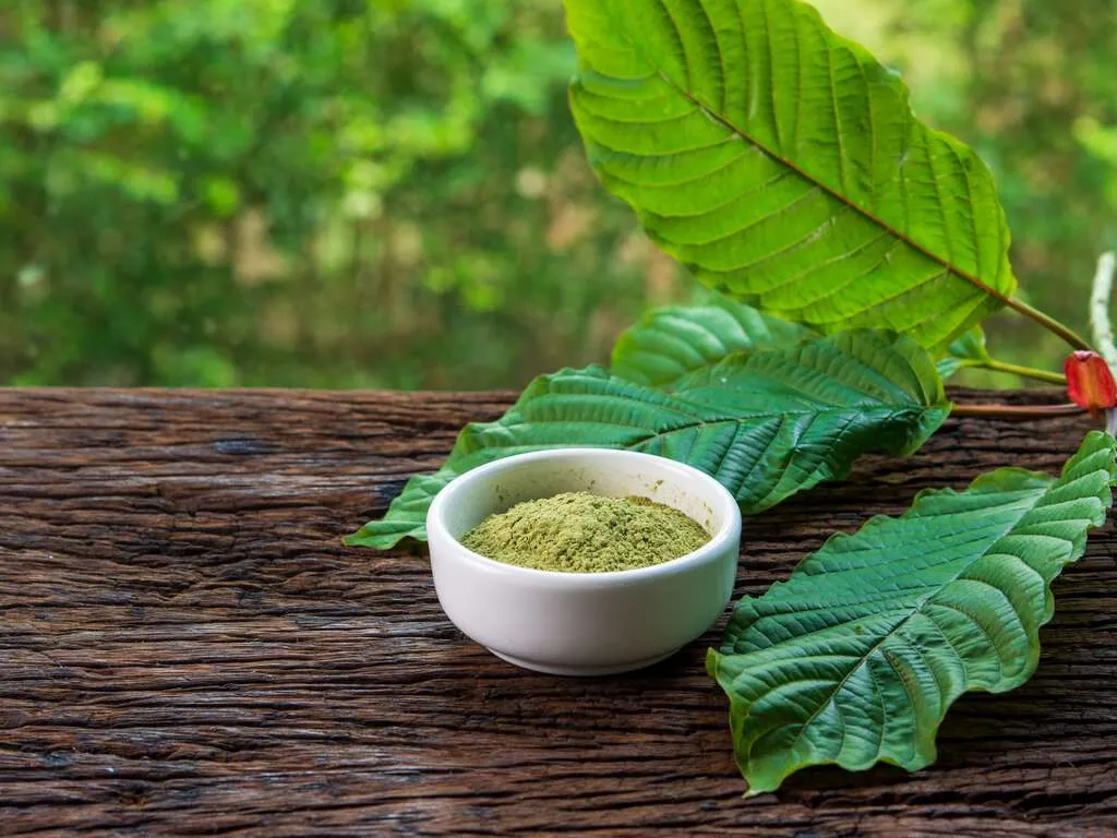 Kratom Extracts Your Natural Path to Relaxation